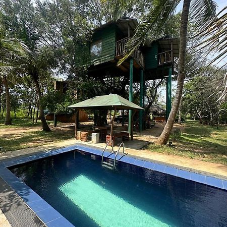 Hotel Yala Eco Tree House New à Tissamaharama Extérieur photo