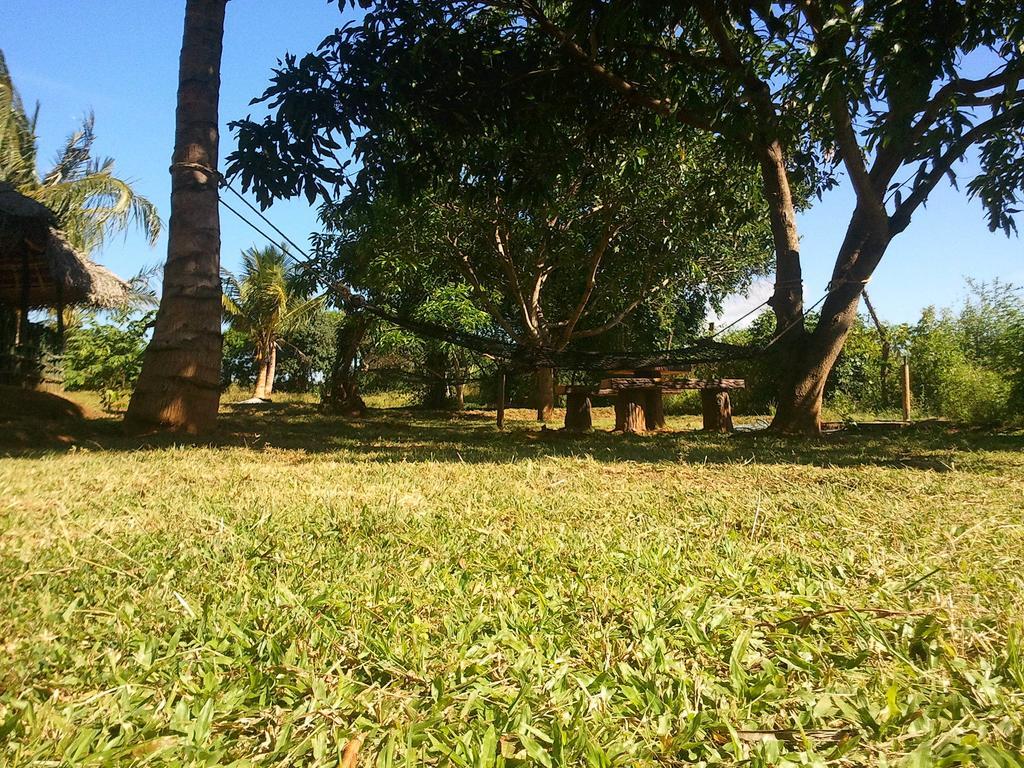 Hotel Yala Eco Tree House New à Tissamaharama Extérieur photo
