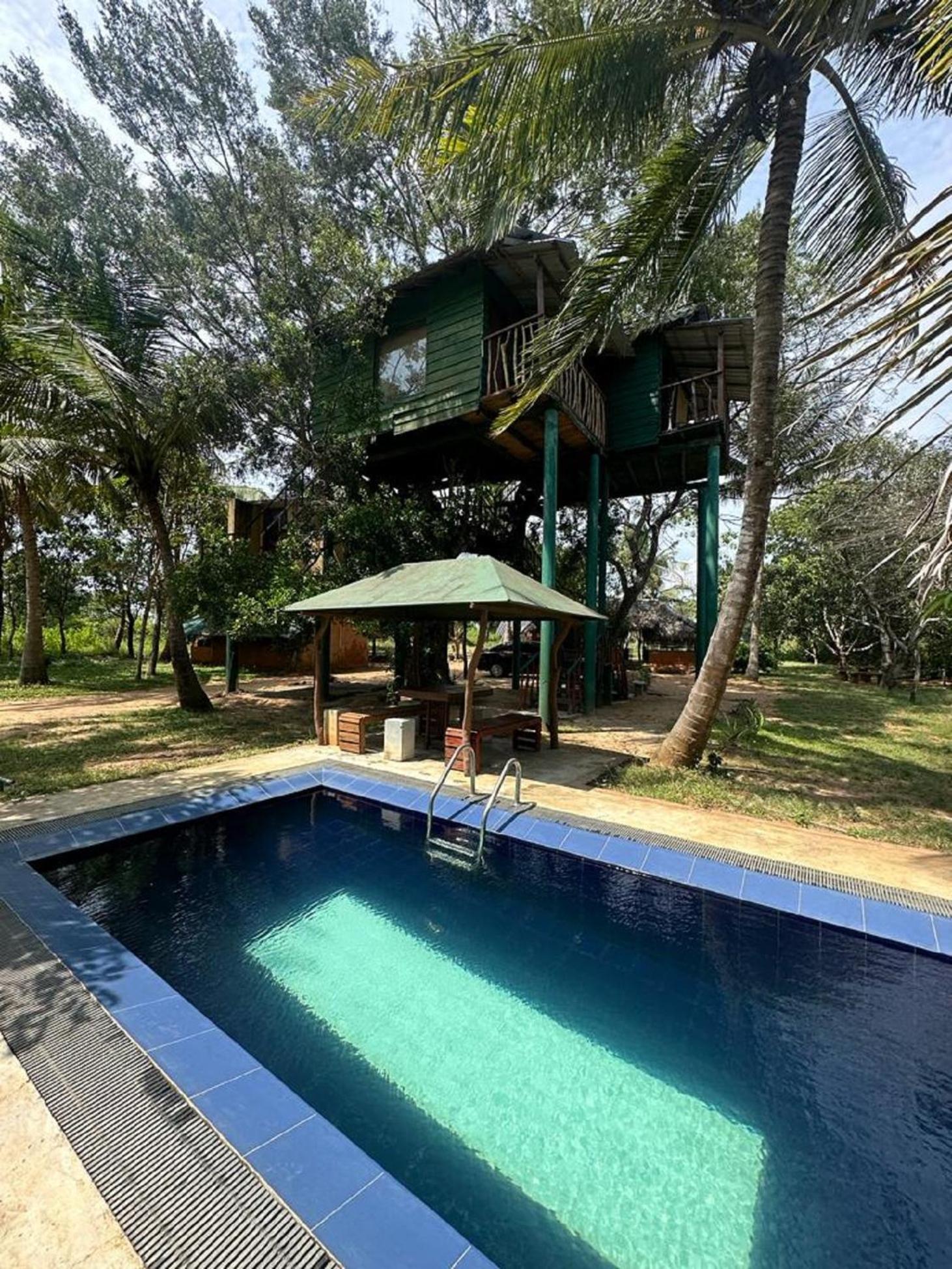 Hotel Yala Eco Tree House New à Tissamaharama Extérieur photo