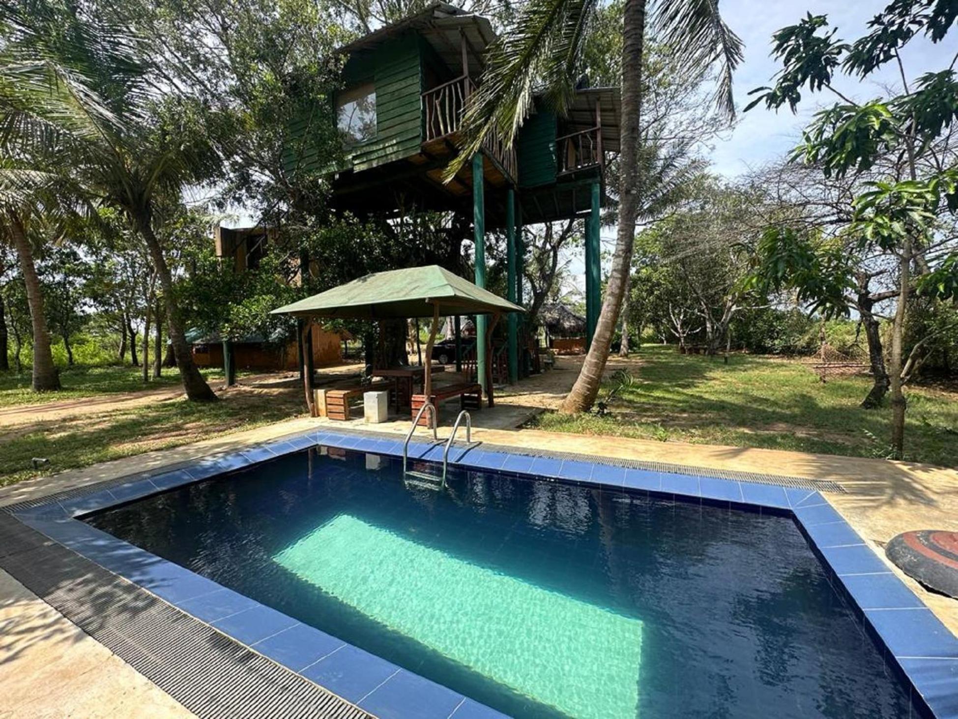 Hotel Yala Eco Tree House New à Tissamaharama Extérieur photo