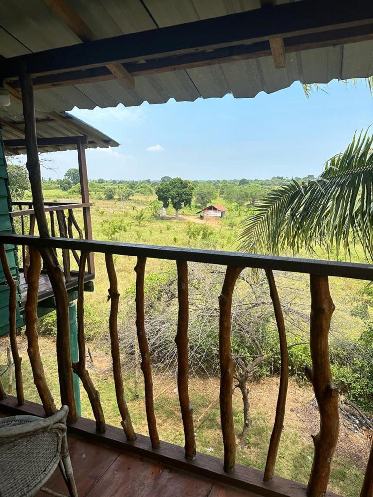 Hotel Yala Eco Tree House New à Tissamaharama Extérieur photo