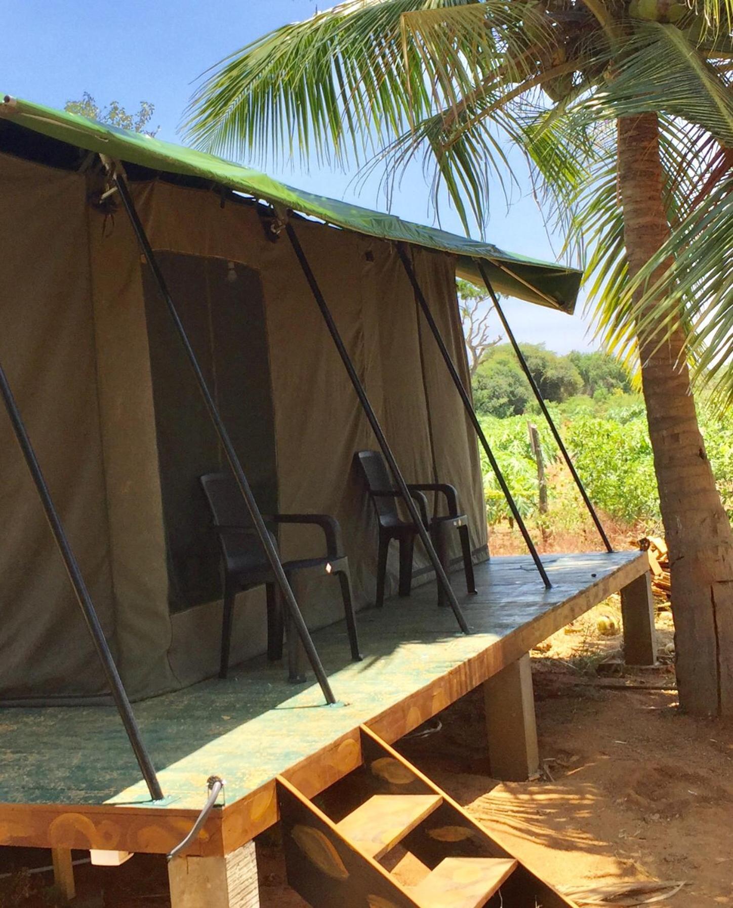 Hotel Yala Eco Tree House New à Tissamaharama Extérieur photo