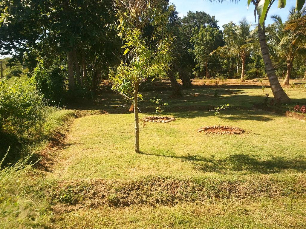 Hotel Yala Eco Tree House New à Tissamaharama Extérieur photo