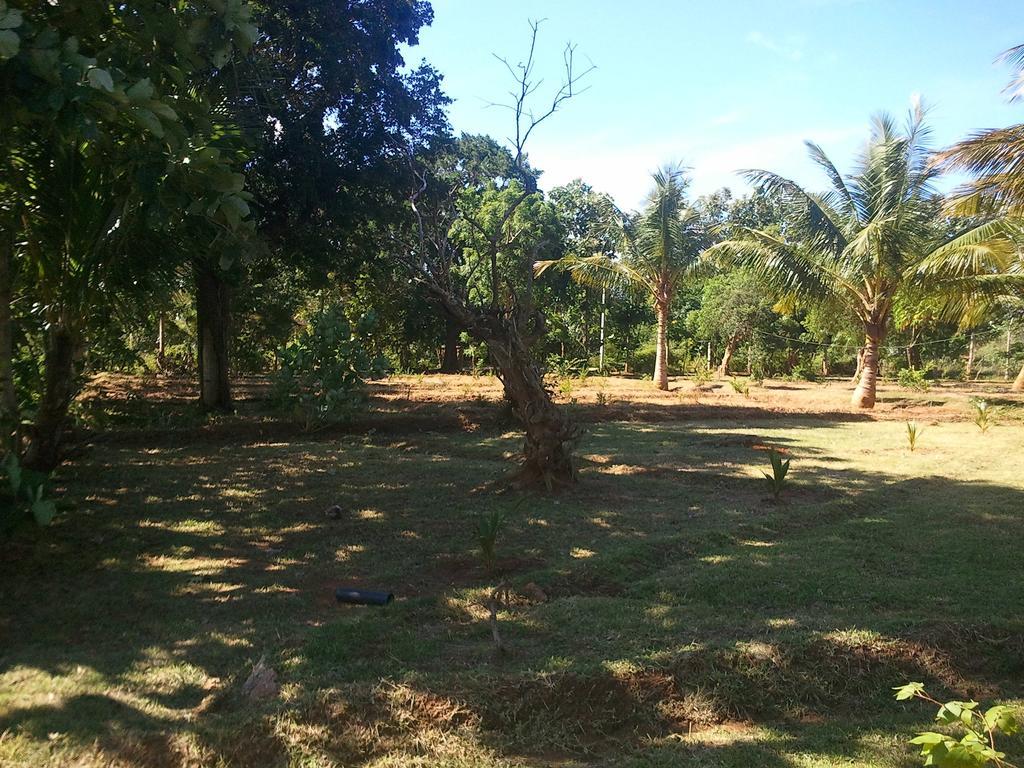 Hotel Yala Eco Tree House New à Tissamaharama Extérieur photo