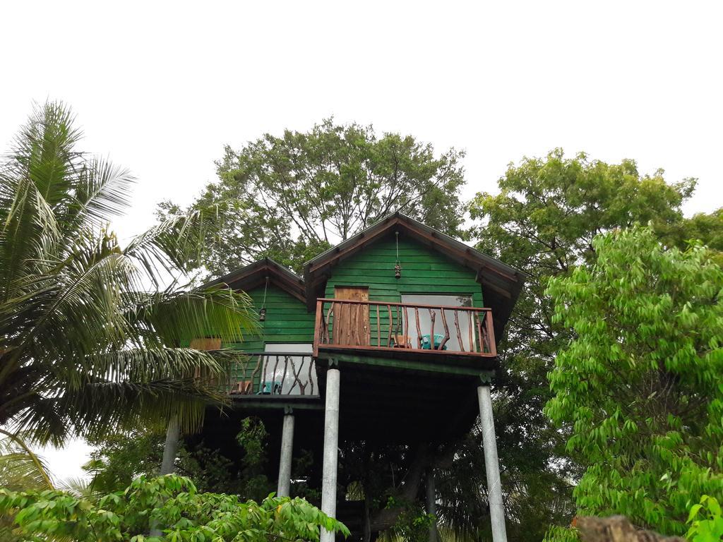 Hotel Yala Eco Tree House New à Tissamaharama Extérieur photo
