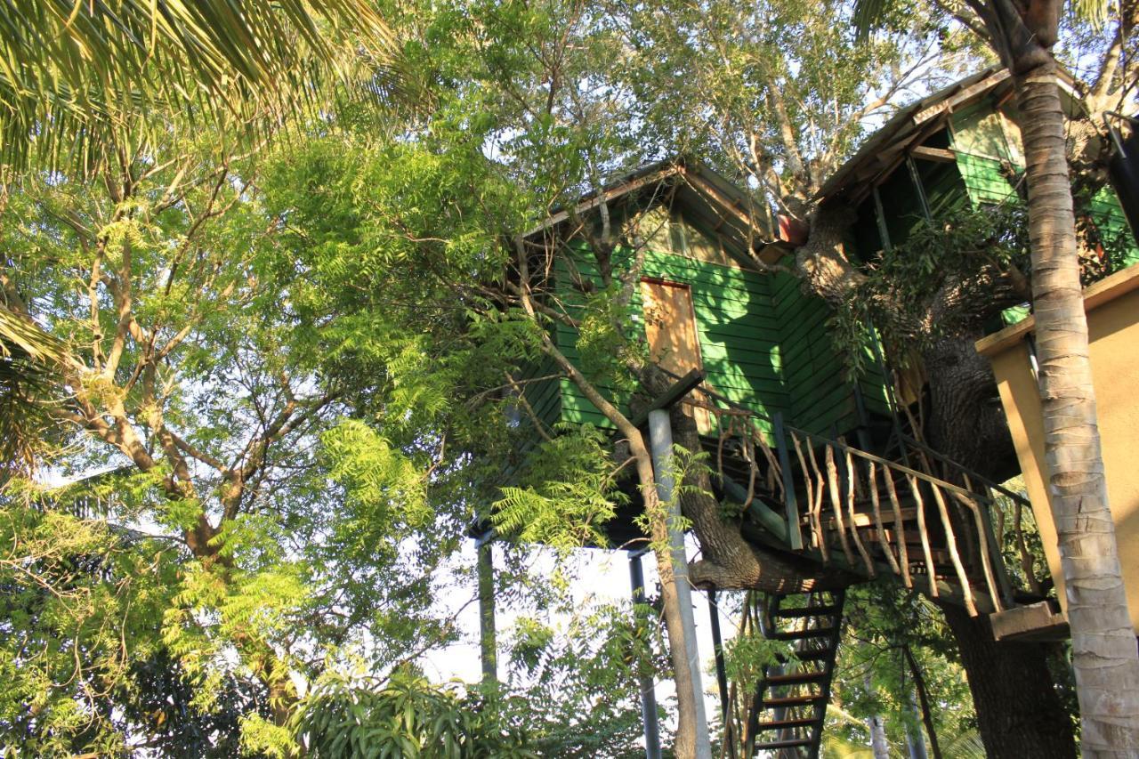 Hotel Yala Eco Tree House New à Tissamaharama Extérieur photo