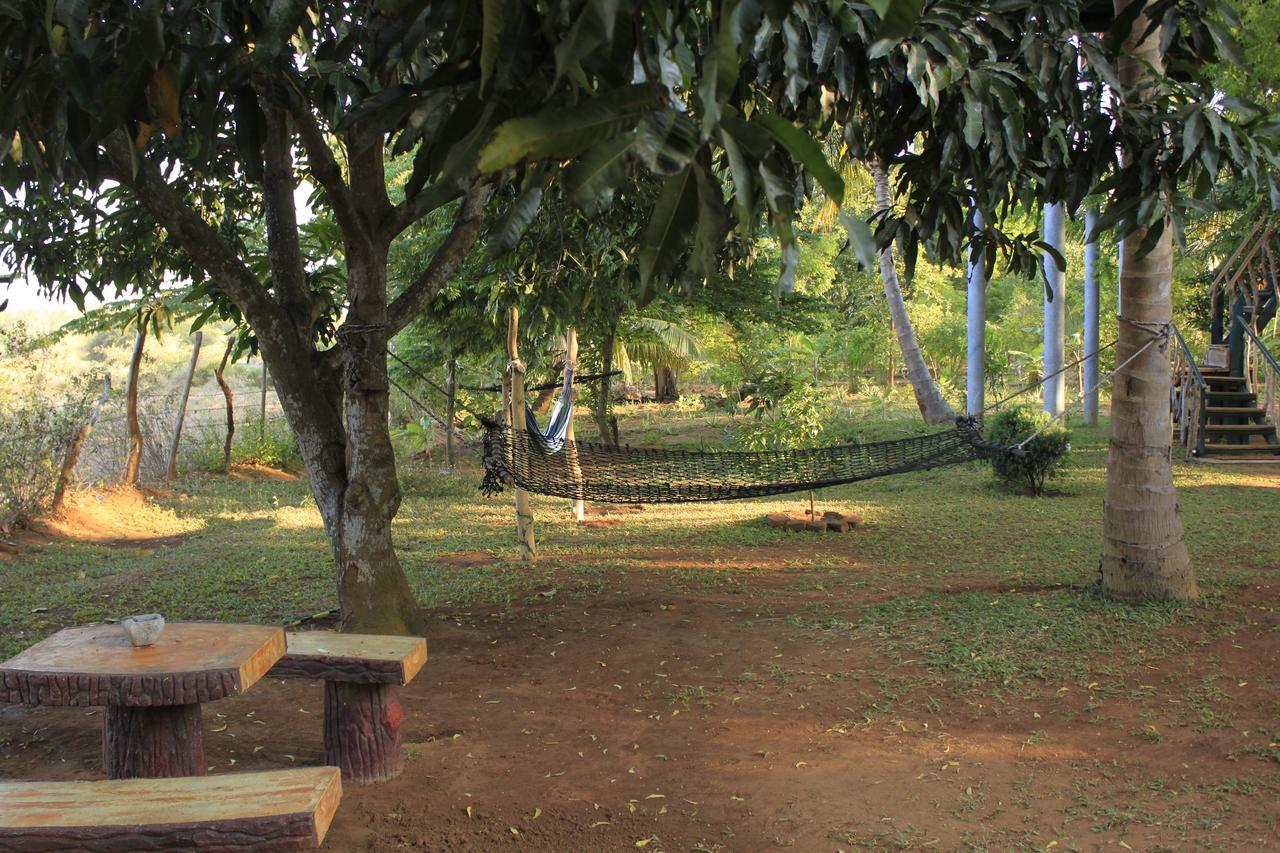 Hotel Yala Eco Tree House New à Tissamaharama Extérieur photo