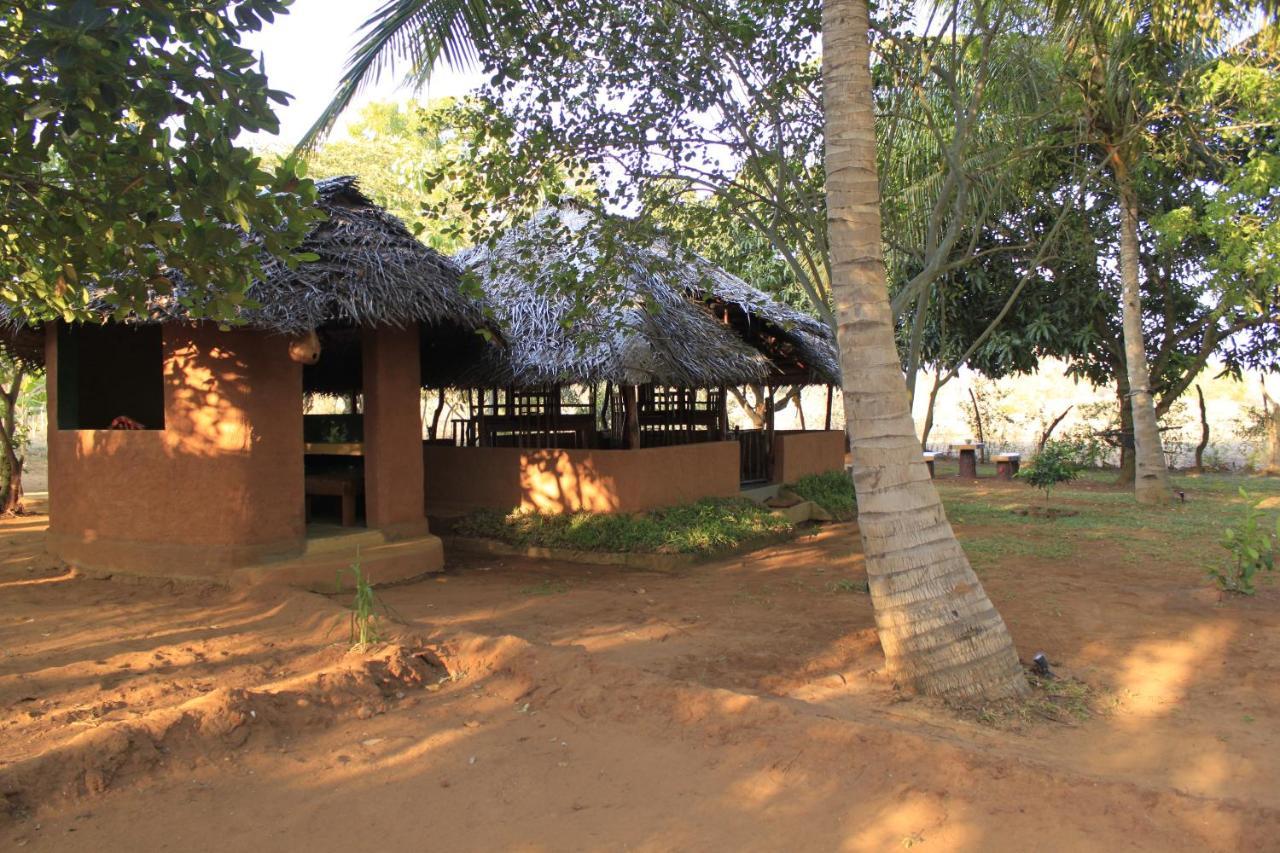 Hotel Yala Eco Tree House New à Tissamaharama Extérieur photo