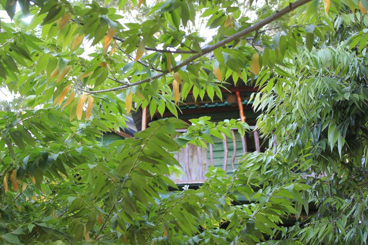 Hotel Yala Eco Tree House New à Tissamaharama Extérieur photo