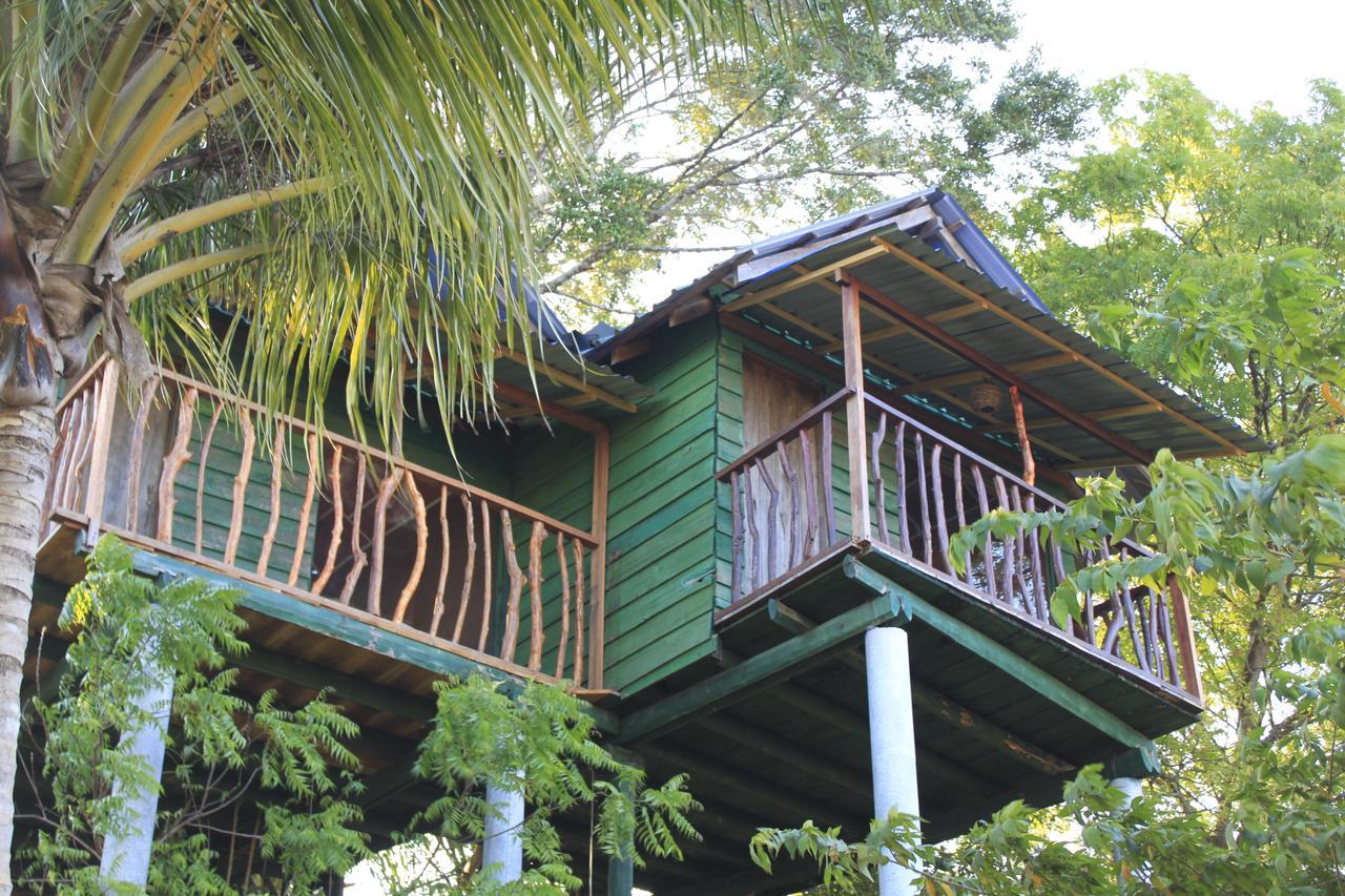 Hotel Yala Eco Tree House New à Tissamaharama Extérieur photo