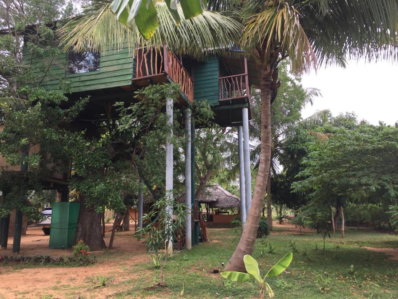 Hotel Yala Eco Tree House New à Tissamaharama Extérieur photo