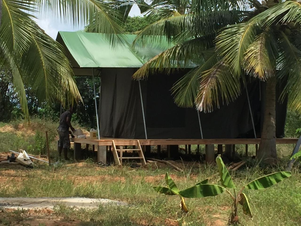 Hotel Yala Eco Tree House New à Tissamaharama Extérieur photo