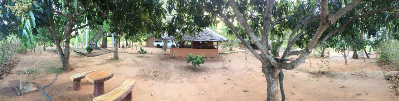 Hotel Yala Eco Tree House New à Tissamaharama Extérieur photo