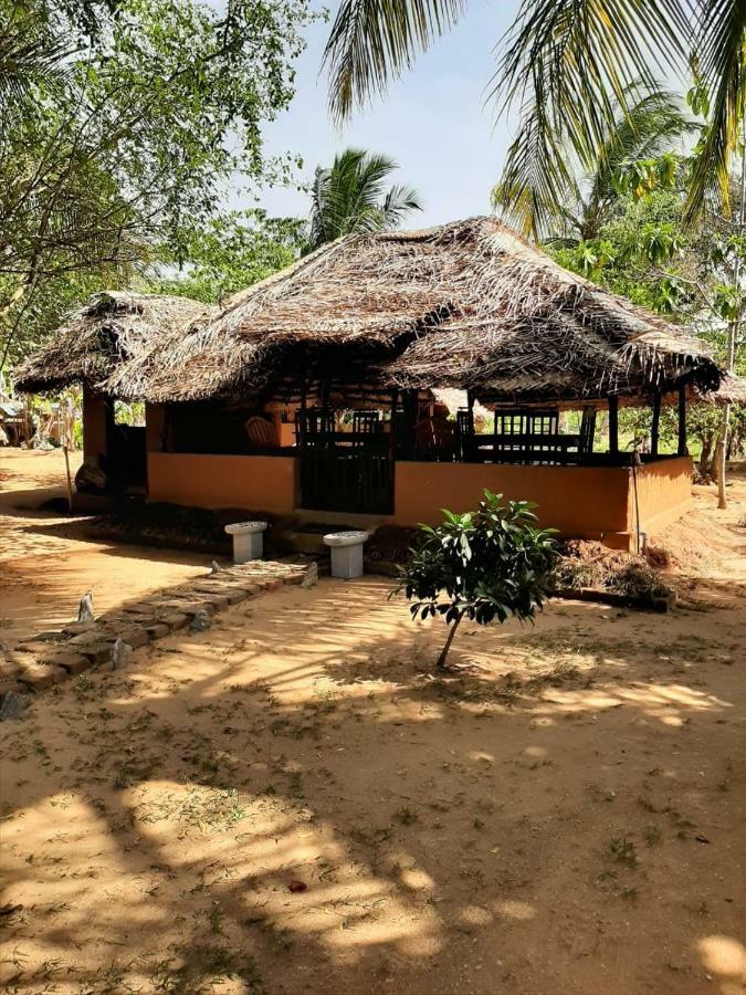 Hotel Yala Eco Tree House New à Tissamaharama Extérieur photo