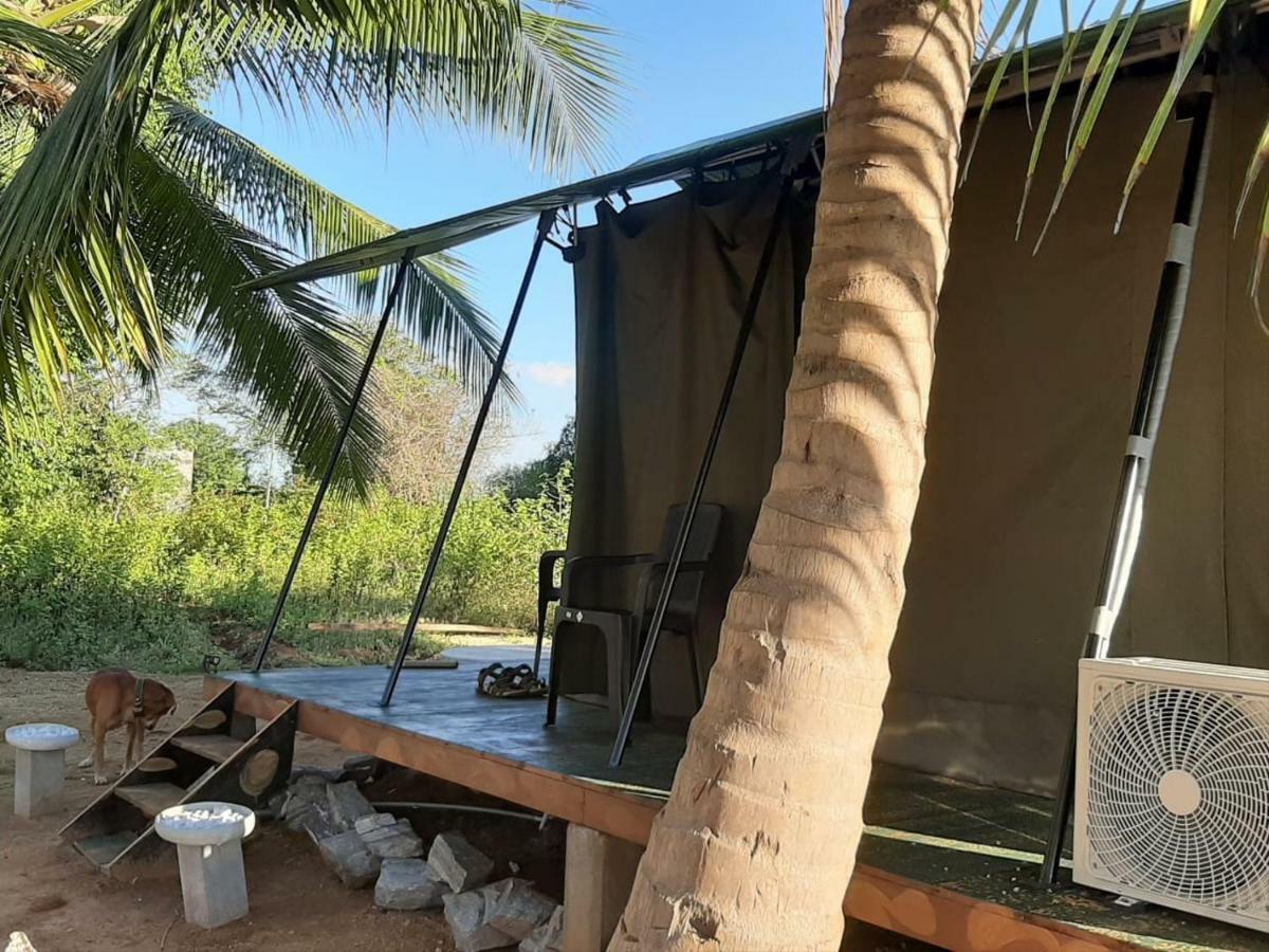 Hotel Yala Eco Tree House New à Tissamaharama Extérieur photo
