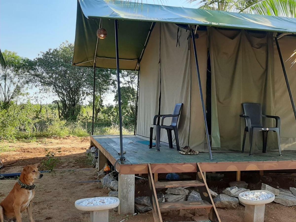 Hotel Yala Eco Tree House New à Tissamaharama Extérieur photo