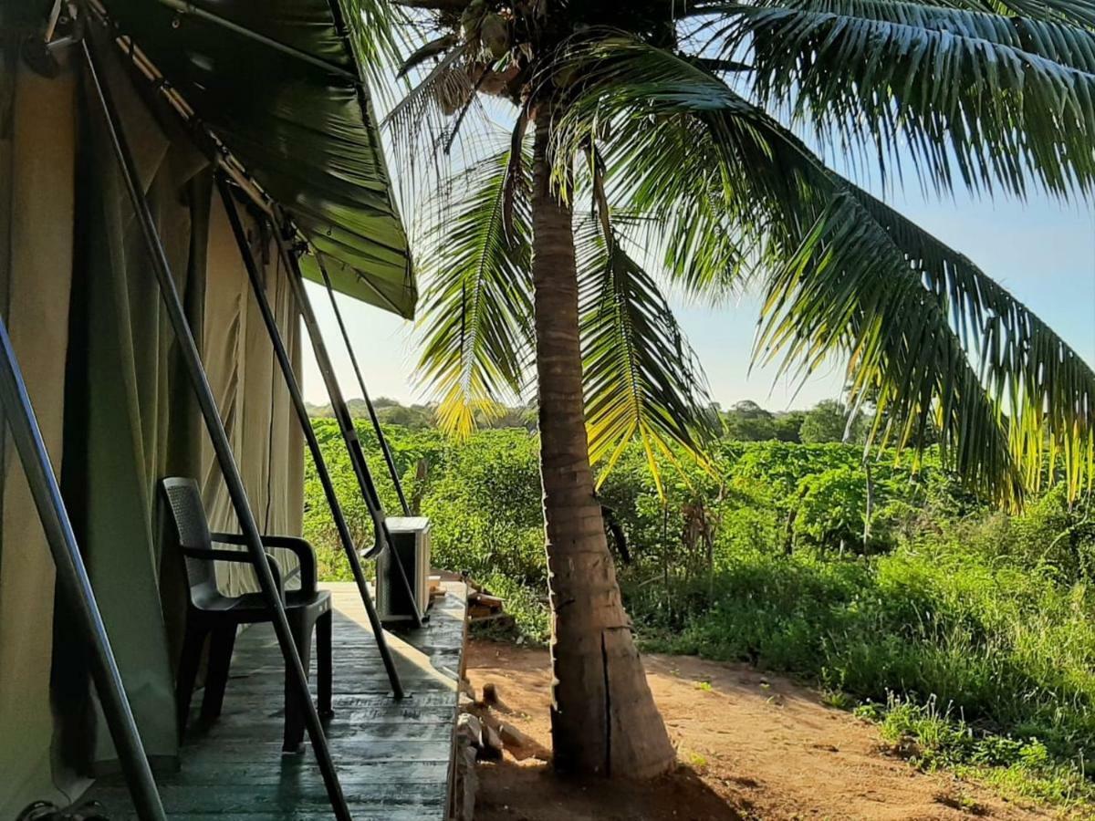 Hotel Yala Eco Tree House New à Tissamaharama Extérieur photo