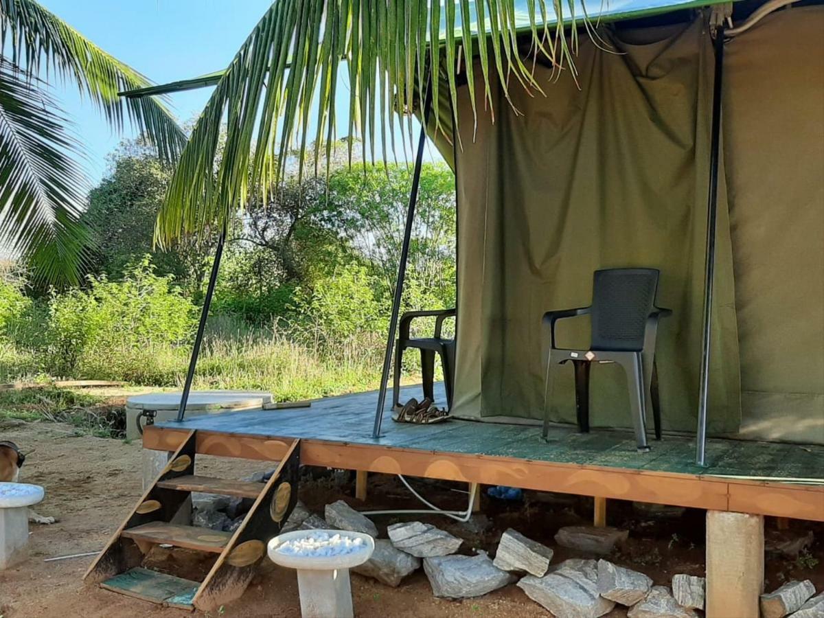 Hotel Yala Eco Tree House New à Tissamaharama Extérieur photo