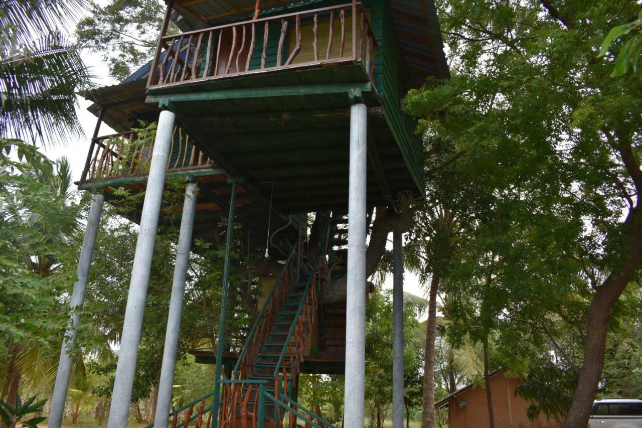 Hotel Yala Eco Tree House New à Tissamaharama Extérieur photo