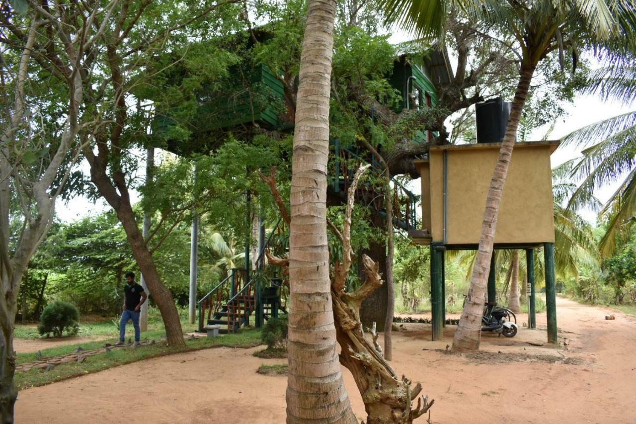Hotel Yala Eco Tree House New à Tissamaharama Extérieur photo