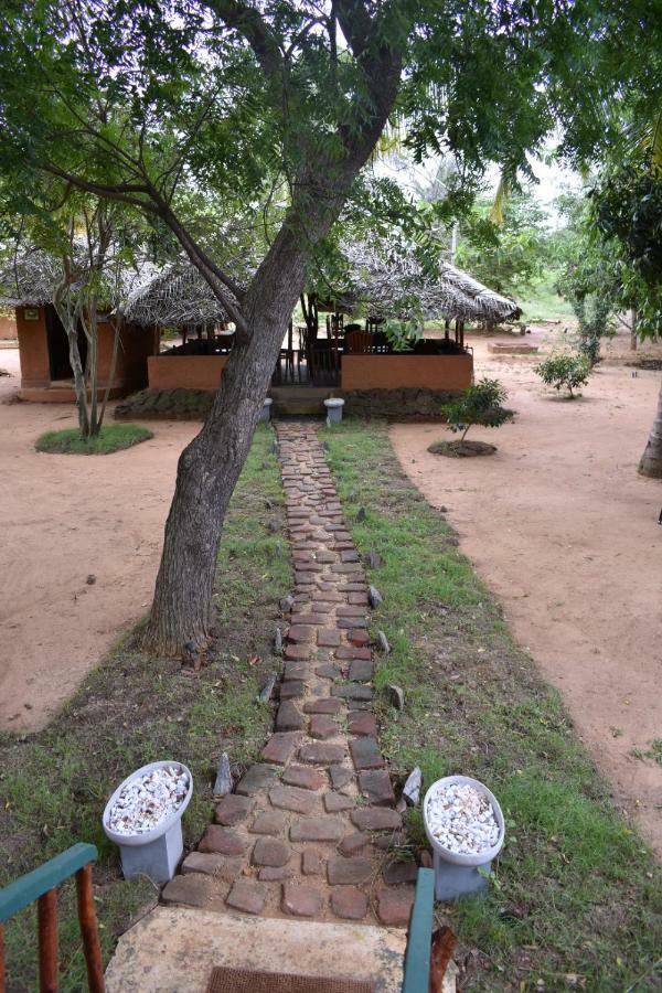 Hotel Yala Eco Tree House New à Tissamaharama Extérieur photo